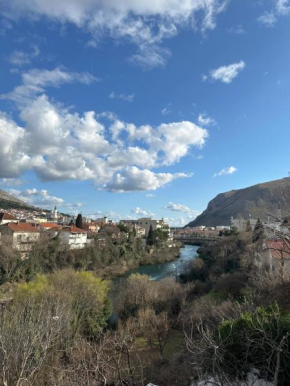 Apartment Collina